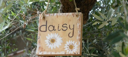Daisy (Glamping)