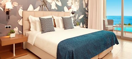 Deluxe Double Room Sharing Pool