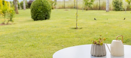 Garden Apartment