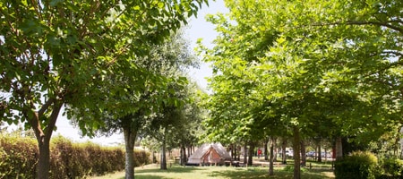Bell Tent