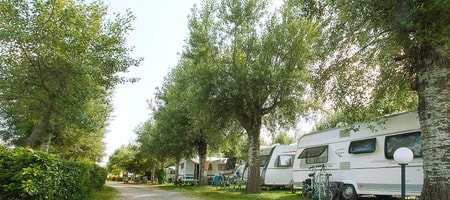 Camping Pitch