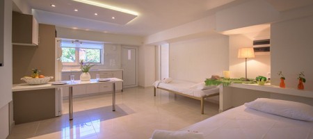 Superior One-Bedroom Apartment (4-5 persons)