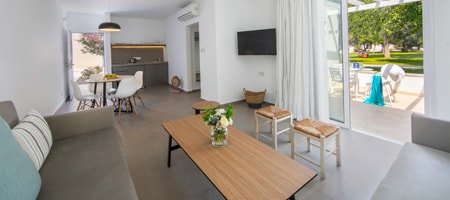 Superior One Bedroom Apartment