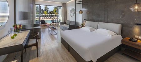 Ionian Superior Swim Up Suite