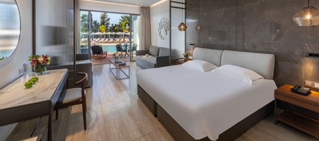 Ionian Superior Swim Up Suite