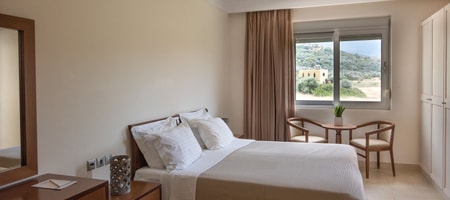 Double Room with Mountain View