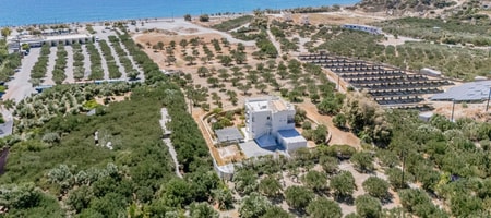 Almyra Estate