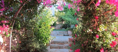 Villa Aloe