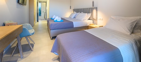 Comfort Triple Room with Shared Pool (Twin Beds)