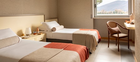 Classic Double or Twin Room