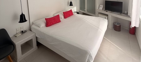 Heart Suite