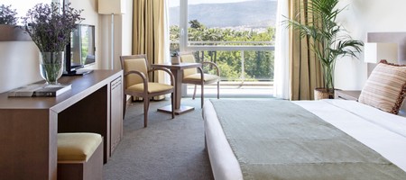 Deluxe Twin / Double Room