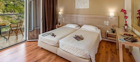 Classic Double or Twin Room Land View