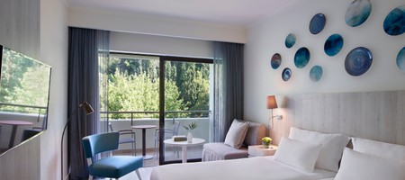 Deluxe Forest View Room