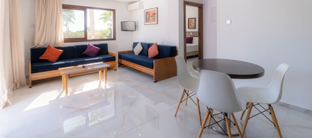 One Bedroom Apartment
