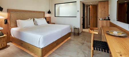 Premium Double Room