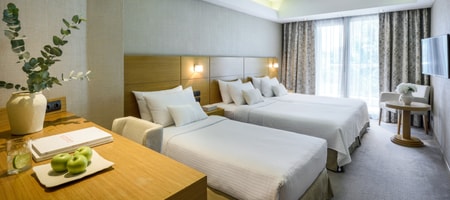 Deluxe Triple Room