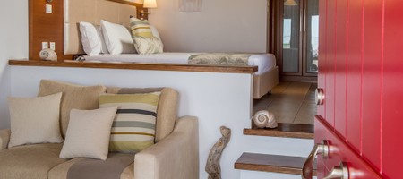 Executive Room Neptune & Scorpio