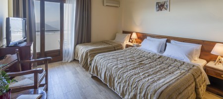 Standard Triple Delphi Valley View Room