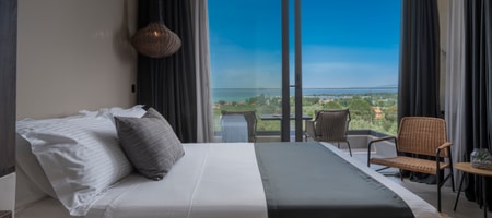 Elegant Suite