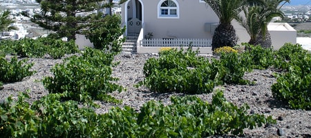 Villa Anna & Annafani Villa