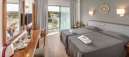 Twin or Double Room with Resort View