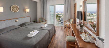 Twin or Double Room with Pool View