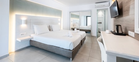 Deluxe Double Room Garden View