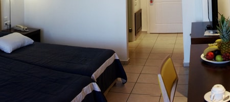 Double or Twin Room Garden View