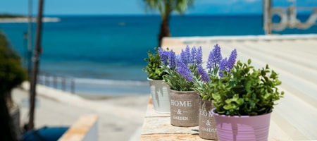 Apartment Sofia Corfu