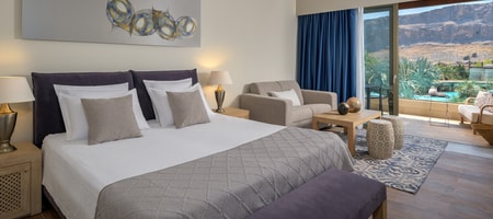 Exclusive Guestroom