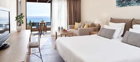 Premium Guestroom