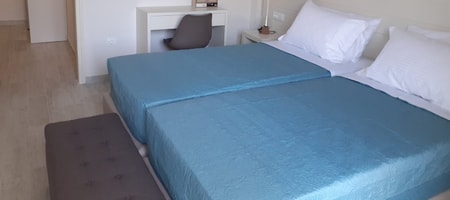 Deluxe Double Room No View