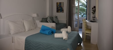 Double Superior Garden view Room with Sofa