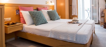 Twin room with Terrace (ground floor)