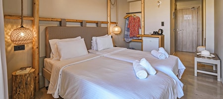 Double Standard Room
