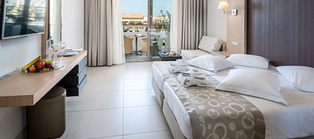 Double Room Garden or Pool view