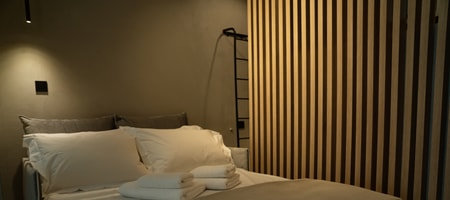 303 Suite Queen Bed / Sofa Bed