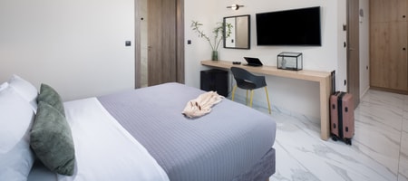 Standard Double Room [24 m²]
