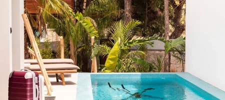 D Palm | Villa Starlight