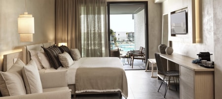 Double Room Swim up Limited Sea View
