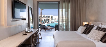 Double Room Swim up Pool View