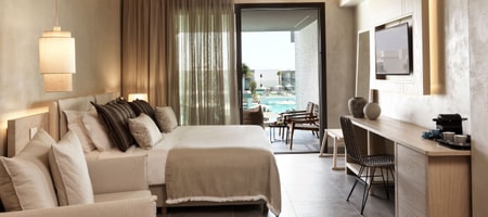 Twin / Double Room Pool View