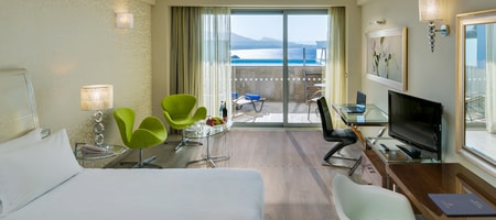 Deluxe Room Sea View with Personal Pool