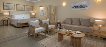 Platinum Beach Junior Suite Sea View with Personal Pool Signature Collection