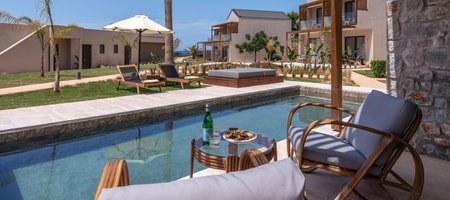 Tropical Open Plan Suite with Shared Pool