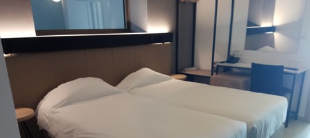 Interior Twin (No view - No balcony)