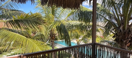Myk Garden View