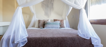 Paros Suite