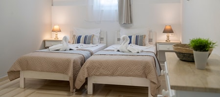Budget Double Room ( Semi - Basement)